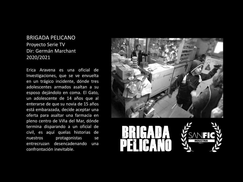 imagen1
